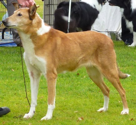 1045104_628744040470669_328065642_n