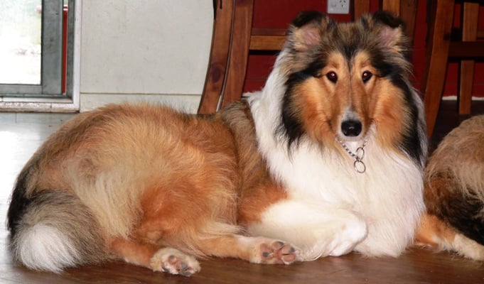 131437493_3865419016803139_6072474159738851349_n