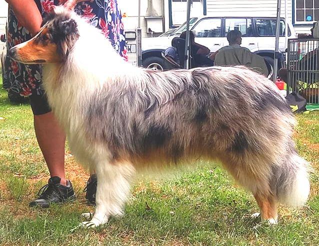 137080859_3934823056529401_4579846721913289020_n