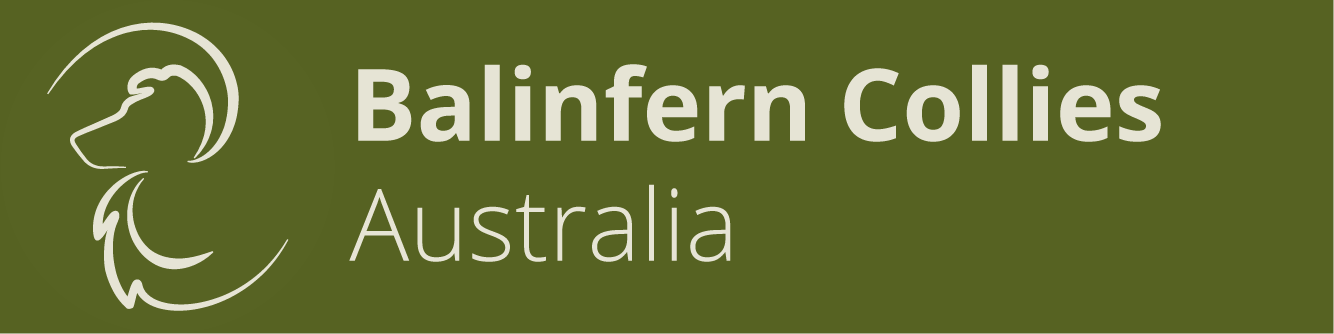 Balinfern Collies