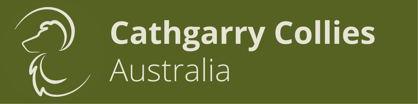 Cathgarry Collies